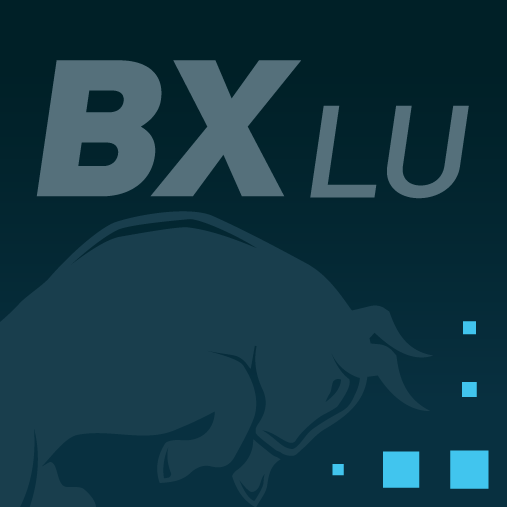 BX Liquidez USD